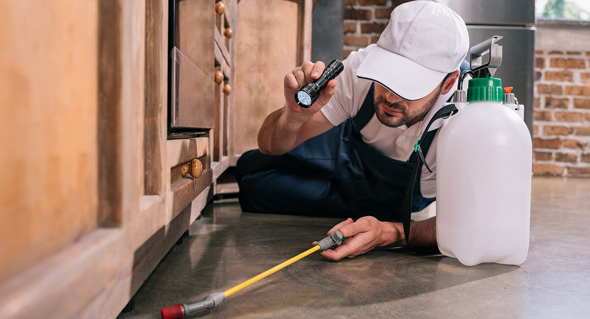 Conseils génériques