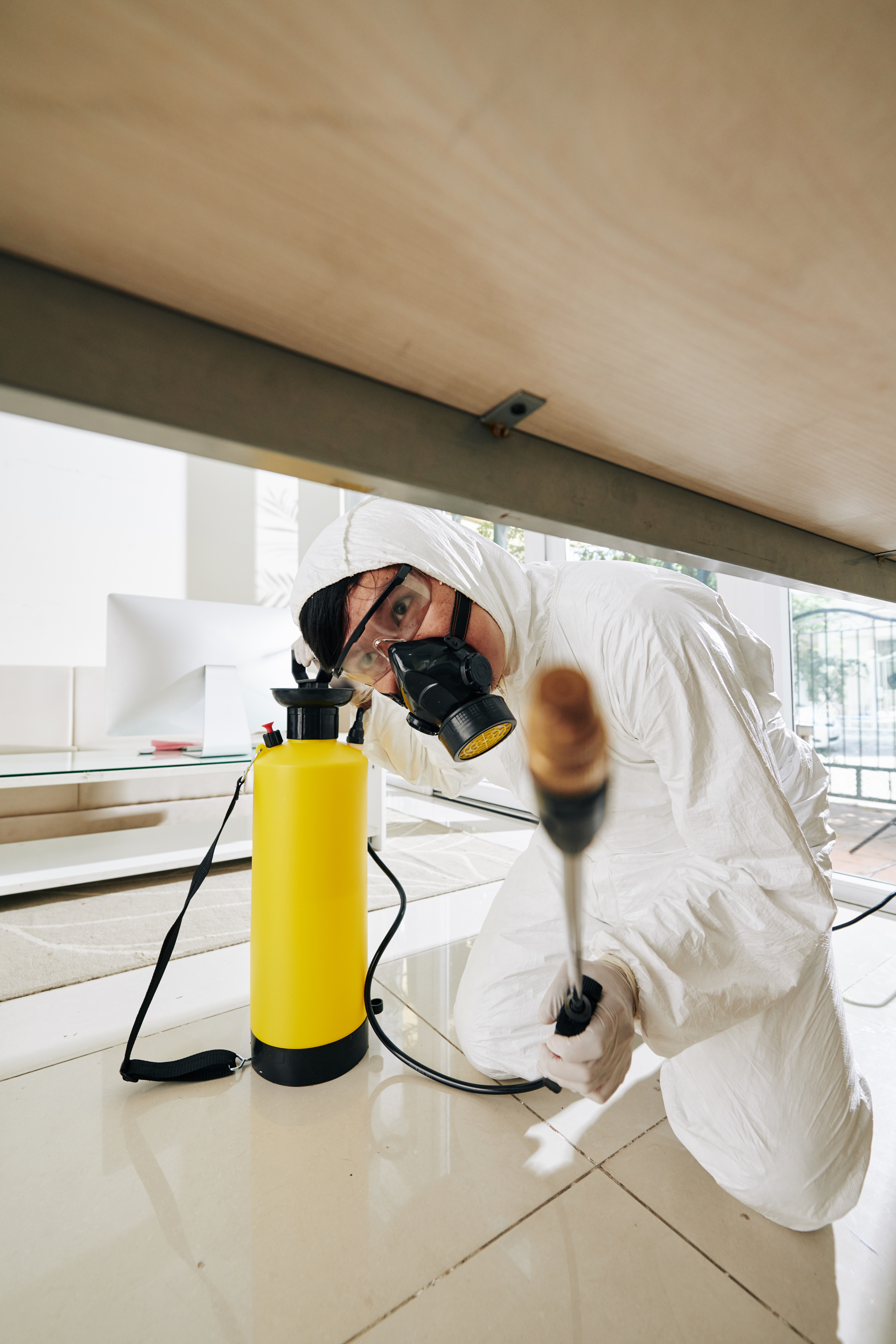 Désinsectisation à Tours en Indre-et-Loire