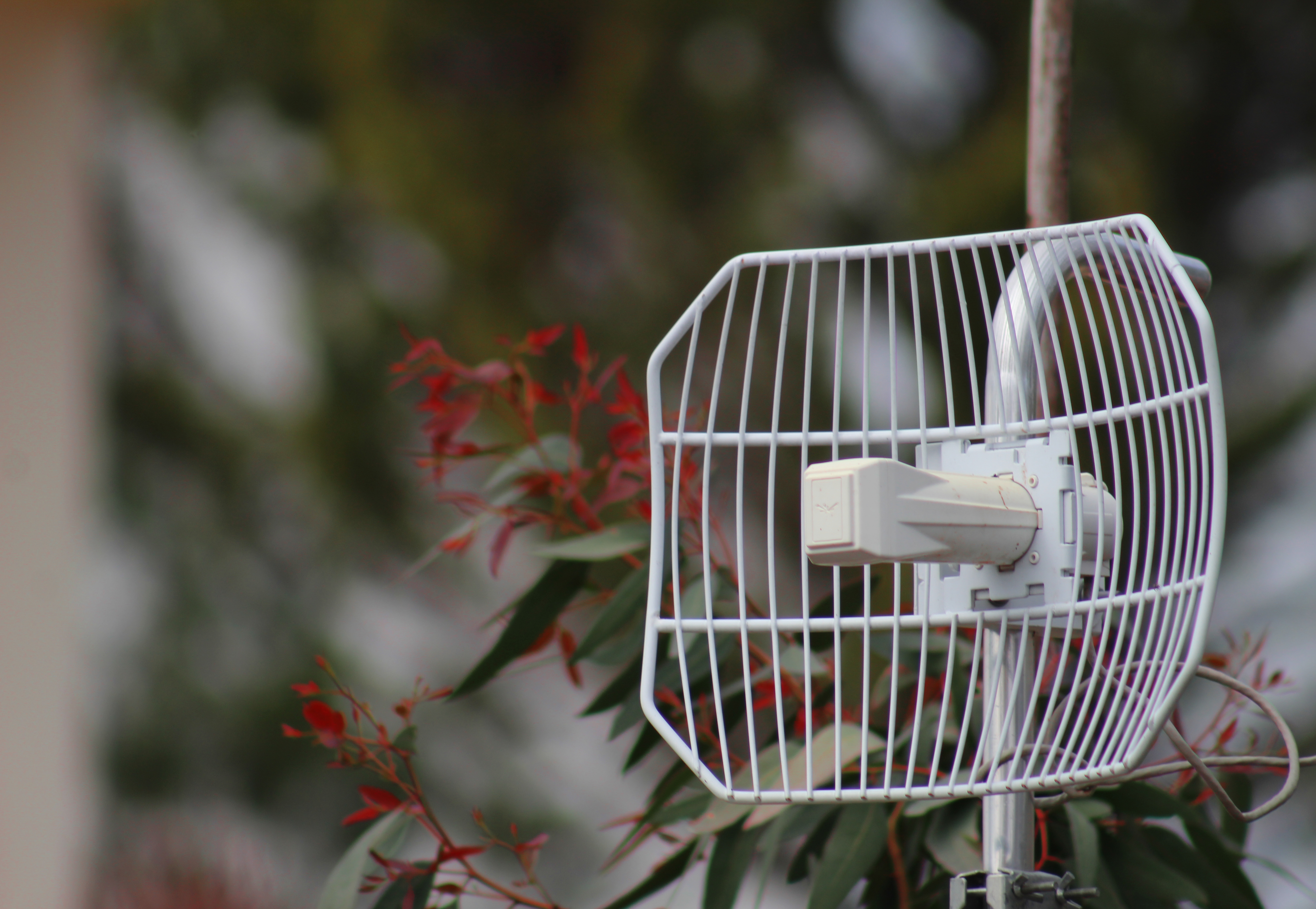 Répulseur acoustiques anti pigeon